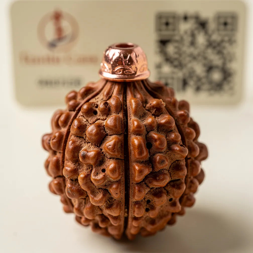Texture detail of Chhe Mukhi Rudraksha Pendant — 6 Mukhi Nepal