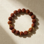 Golden Aura Rudraksha Bracelet — hero product shot | Salico