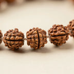 Small rudraksha bead texture close-up | Salico