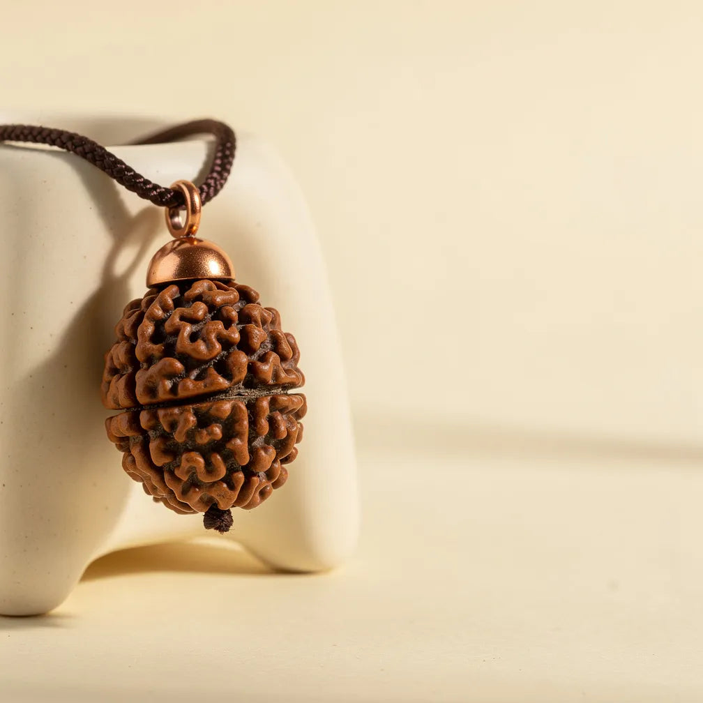 Saat Mukhi Rudraksha Pendant — size and cord detail | Salico