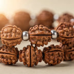 Rudraksha and silver bead texture close-up | Salico
